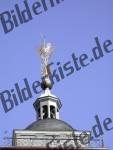 Bilder zum Thema rooftop anzeigen