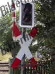 Bilder zum Thema x anzeigen
