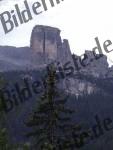 Bilder zum Thema italian anzeigen