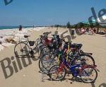 Bilder zum Thema fahrrad anzeigen