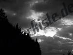 Wolken �ber einem Tannenwald