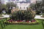 Bilder zum Thema parks anzeigen