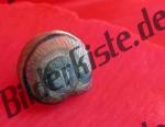 Schnecke auf Bl�te