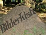 Bilder zum Thema m anzeigen