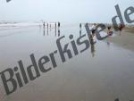 Bilder zum Thema badeurlauber anzeigen