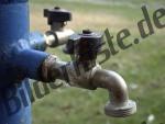 Bilder zum Thema wasserh�hne anzeigen