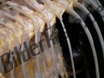 Fischgr�ten 