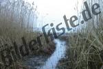 Bach m�ndet in See