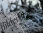 Bilder zum Thema faden anzeigen