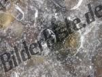 Luftblase unter Eisdecke