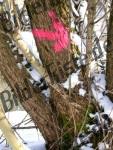 Bilder zum Thema markierung anzeigen