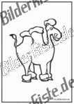 Bilder zum Thema camel anzeigen