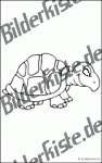 Bilder zum Thema schildkr�te anzeigen
