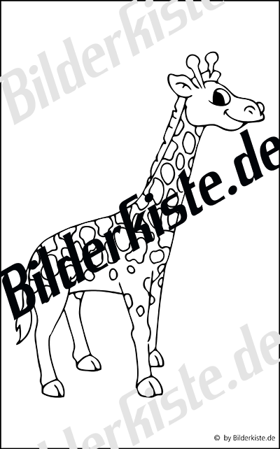 Giraffa