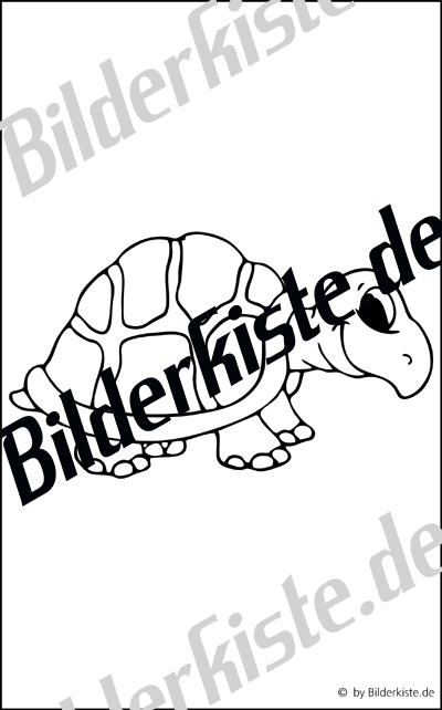 Schildkrte