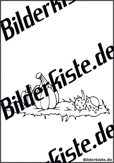 Krbisse und Kastanien