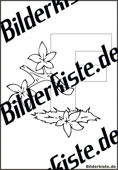 Buchstabe 