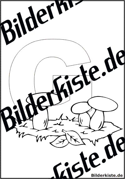 Buchstabe 