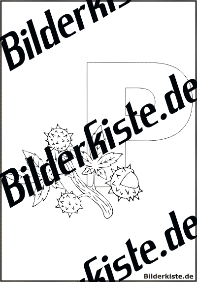 Buchstabe 