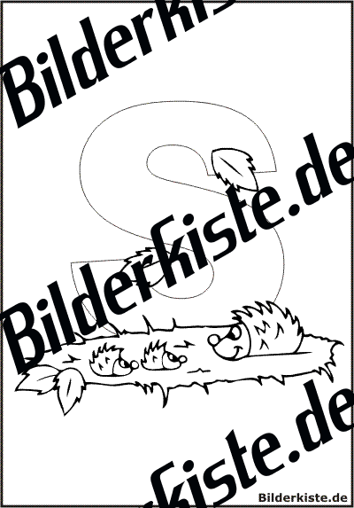 Buchstabe 