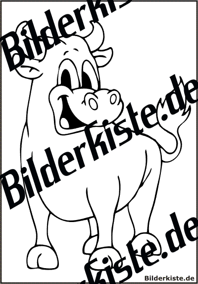 Lachender Stier