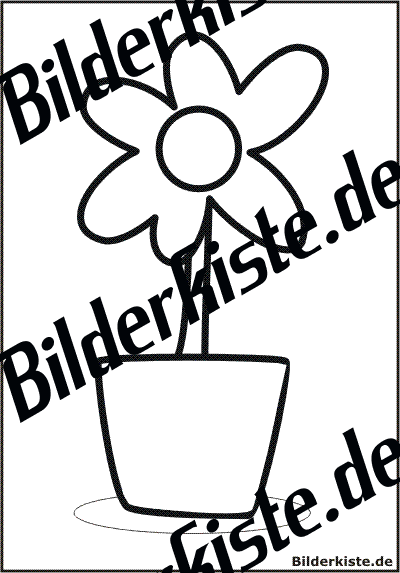 Blume im Blumentopf