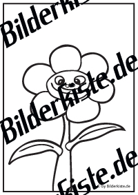 Blume mit Gesicht