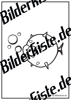 Kugelfisch macht Blasen
